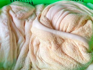 Phân Biệt Giữa Lá Sách Bò Và Bao Tử Bò