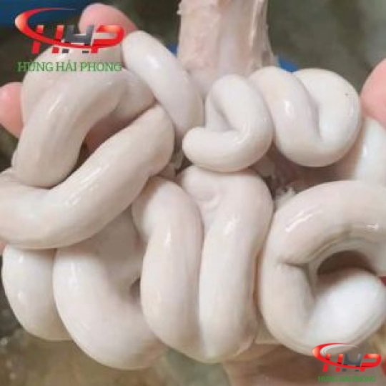 Dồi Trường Heo Thùng Xanh