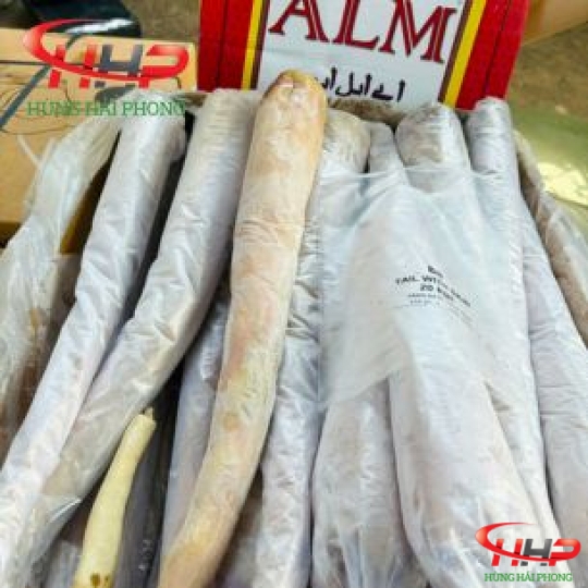 Đuôi Trâu Nhập Khẩu