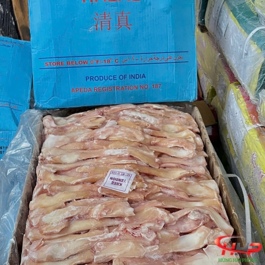 Gân Gối Giá Sỉ Hồ Chí Minh