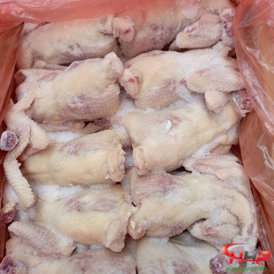 Gà Dai Hàn Quốc
