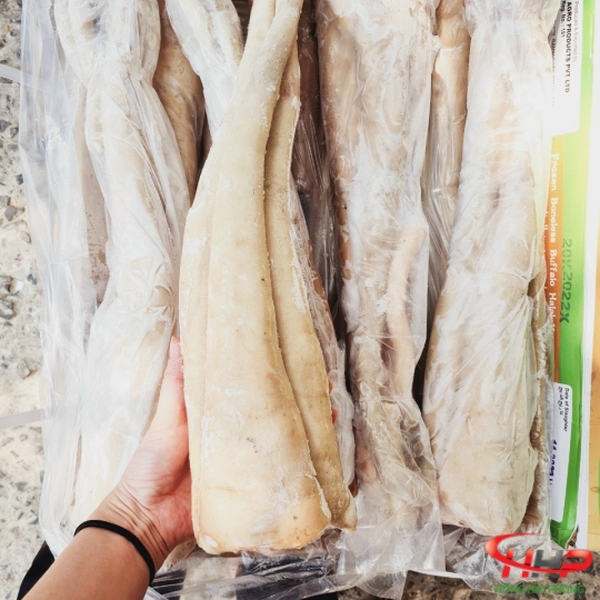 Đuôi Bò Nhập Khẩu Giá Sỉ