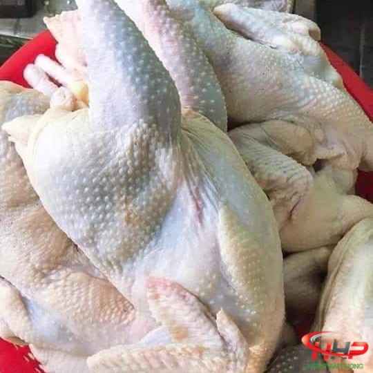 Gà Dai Hàn Quốc