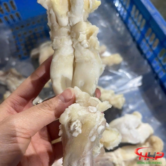 Gân Trâu Ấn Độ Giá Sỉ