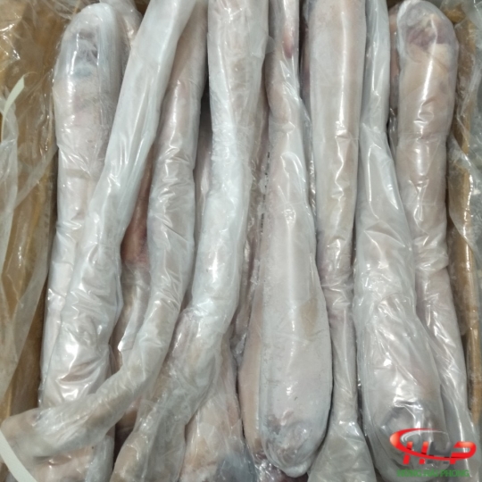 Đuôi Trâu Ấn Độ