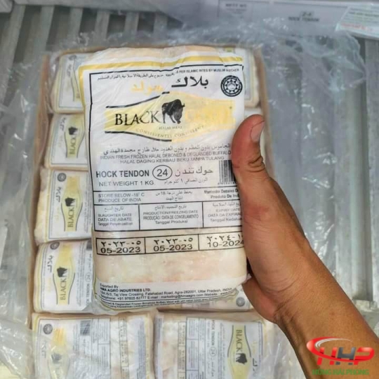 Gân Nhập Khẩu Ấn Độ